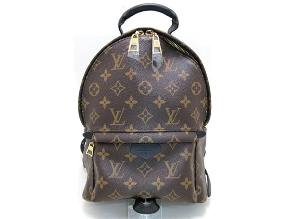 LOUIS VUITTON Monogram Palm Springs Backpack